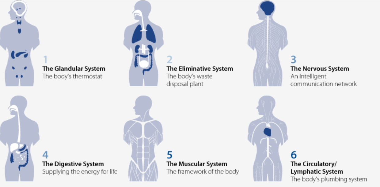 Zone Technique Chiropractic Therapies in Oklahoma City